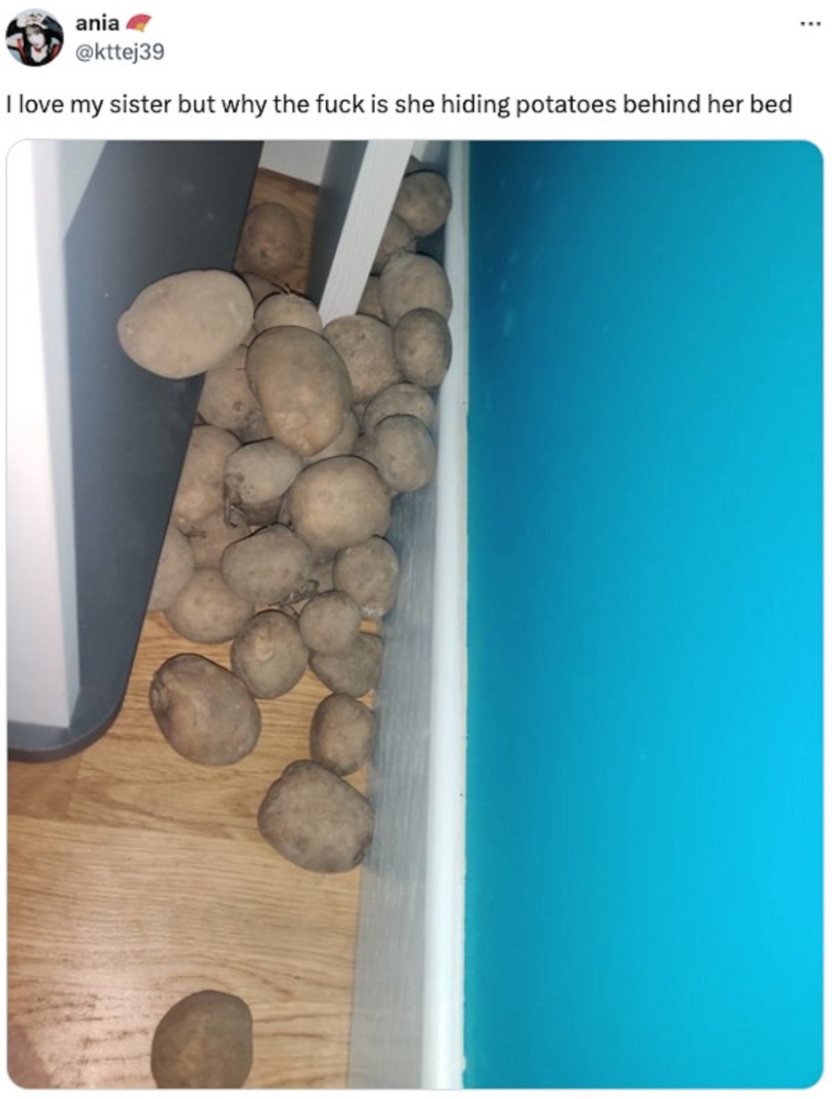 9GAG - ania I love my sister but why the fuck is she hiding potatoes behind her bed