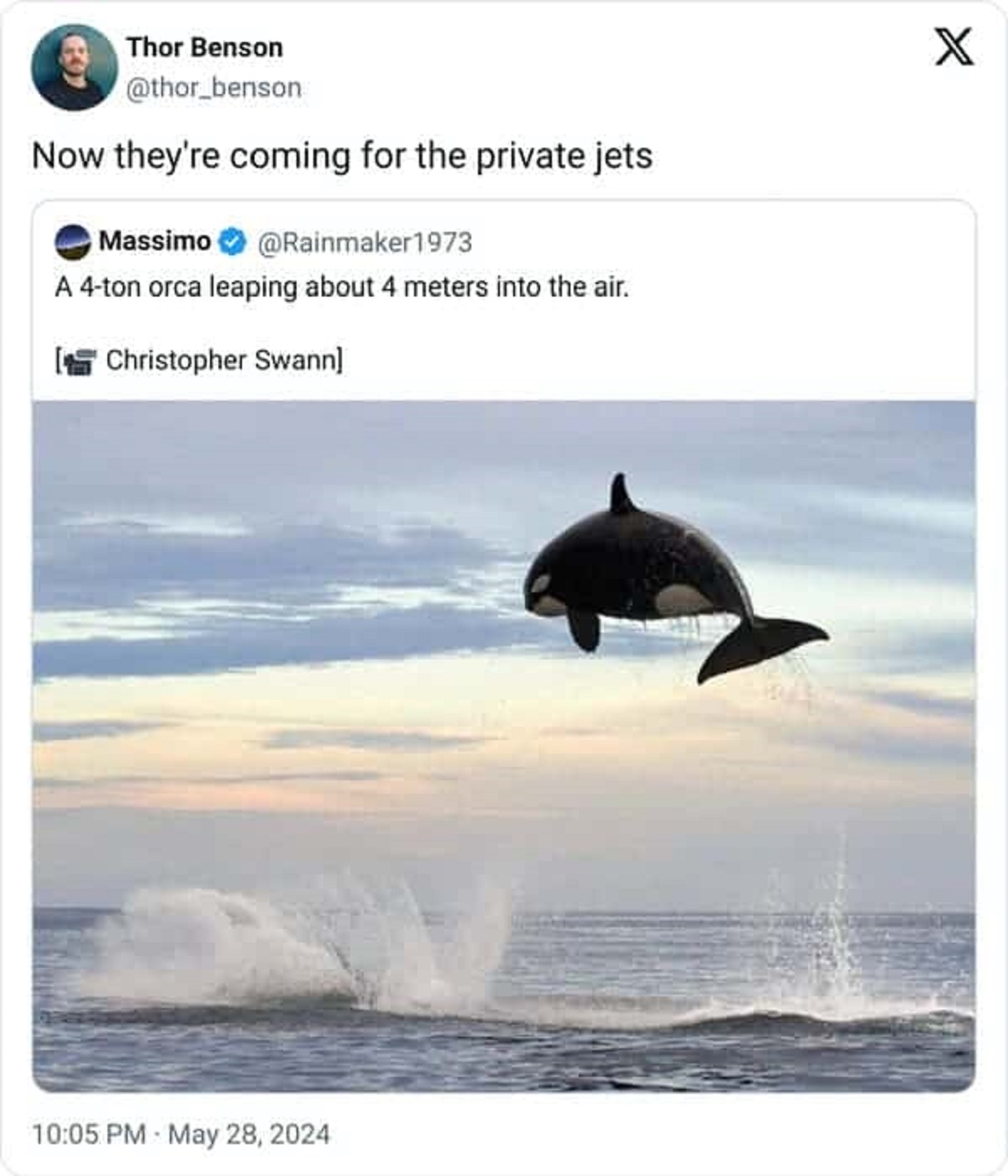orca jumping out of the water - Thor Benson Now they're coming for the private jets Massimo A 4ton orca leaping about 4 meters into the air. Christopher Swann X