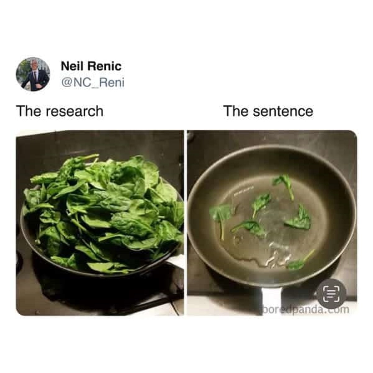 cooking memes - Neil Renic The research The sentence boredpanda.com