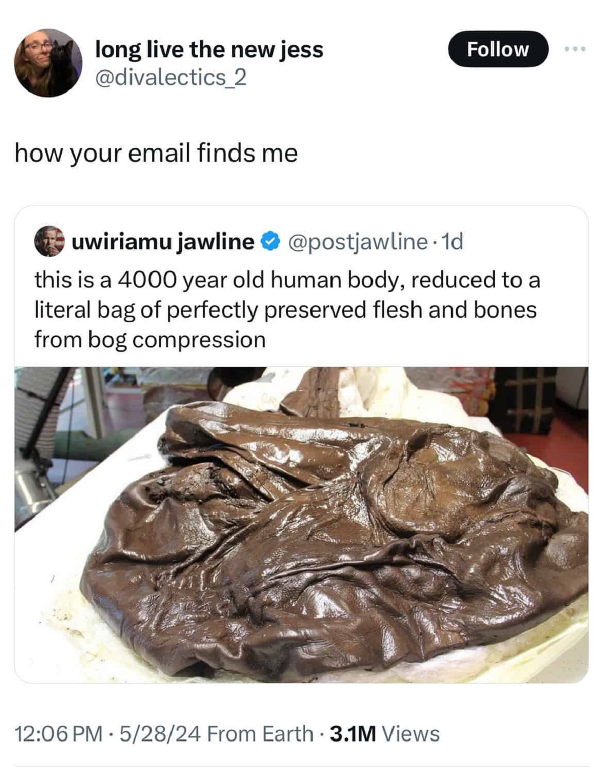 long live the new jess how your email finds me uwiriamu jawline . 1d this is a 4000 year old human body, reduced to a literal bag of perfectly preserved flesh and bones from bog compression # 52824 From Earth 3.1M Views