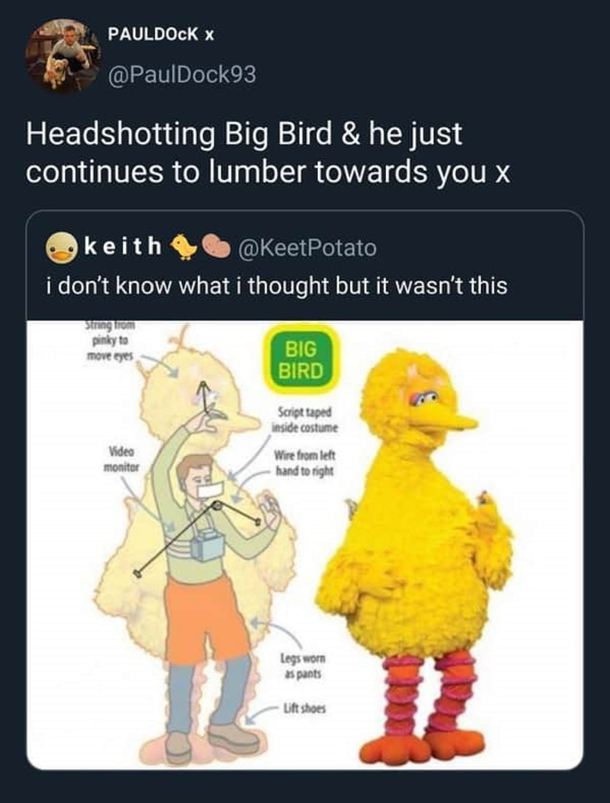 funny big bird - Pauldock X Headshotting Big Bird & he just continues to lumber towards you x keith i don't know what i thought but it wasn't this String from pinky to move eyes Big Bird Script taped inside costume Video monitor Wire from left hand to rig