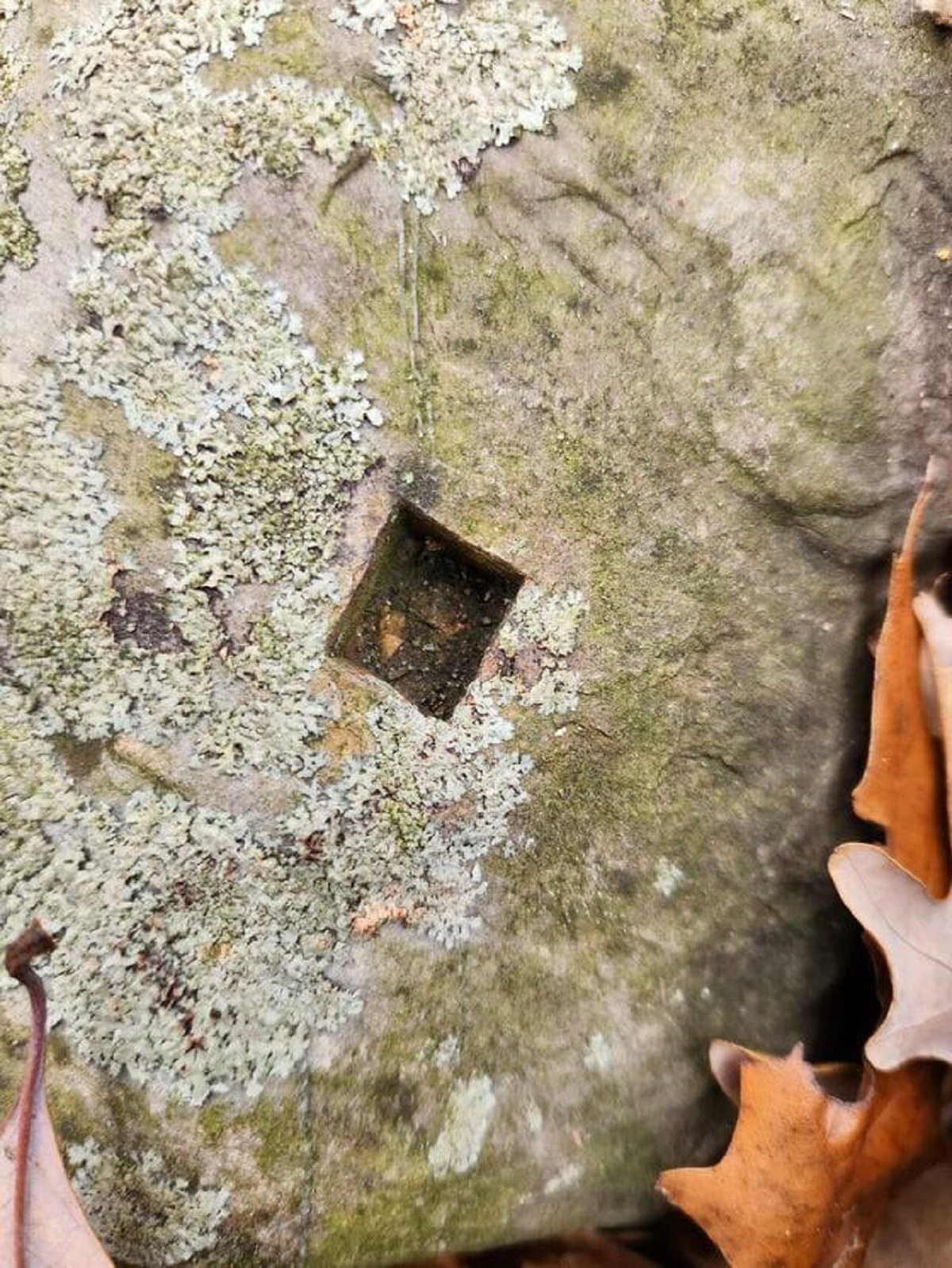 "A square hole in a rock in the middle of the woods."