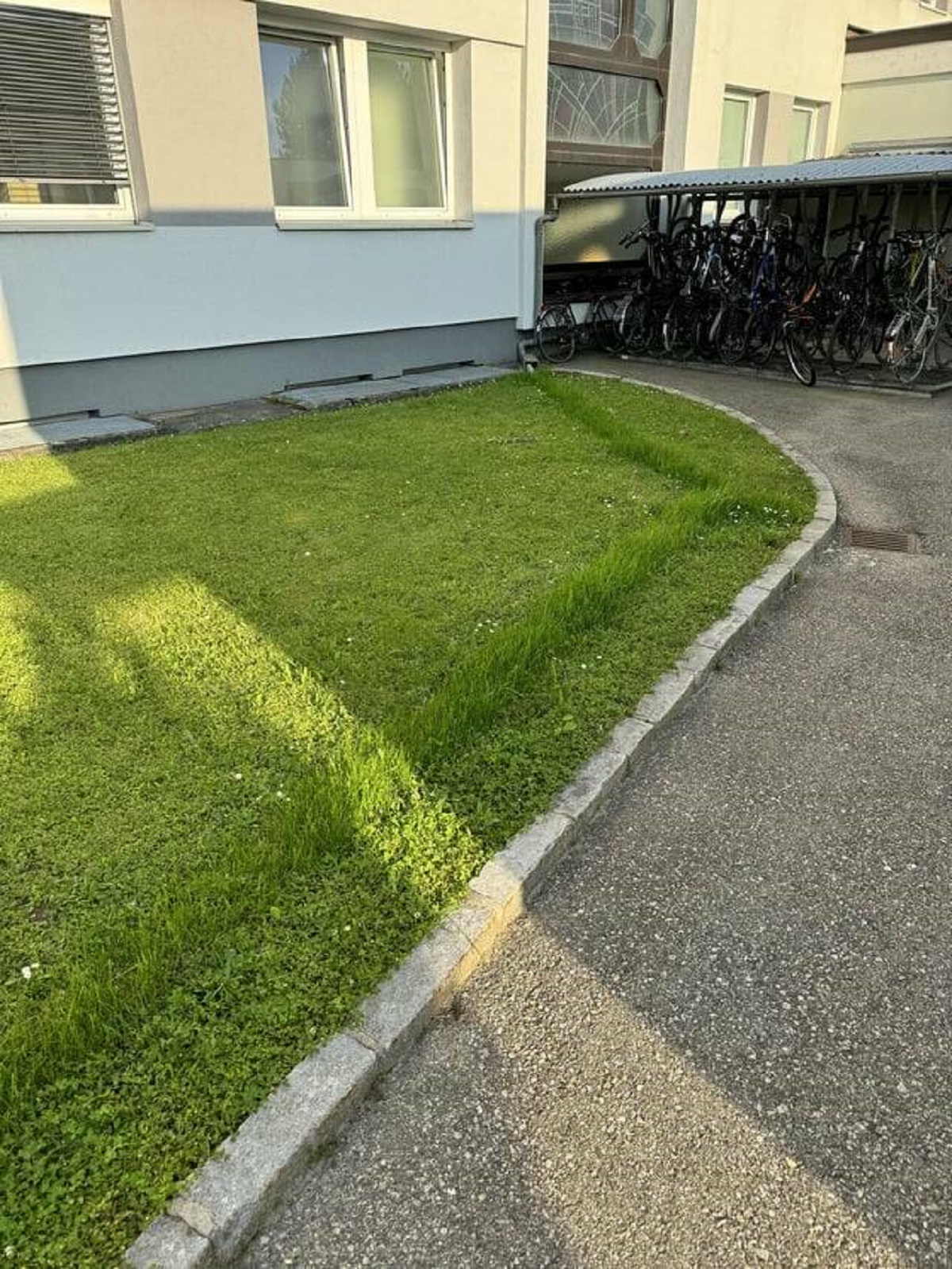 "The grass above the underlying drainage pipes grows way faster than the rest"