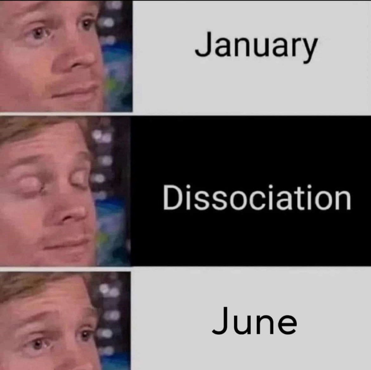january december meme - January Dissociation June