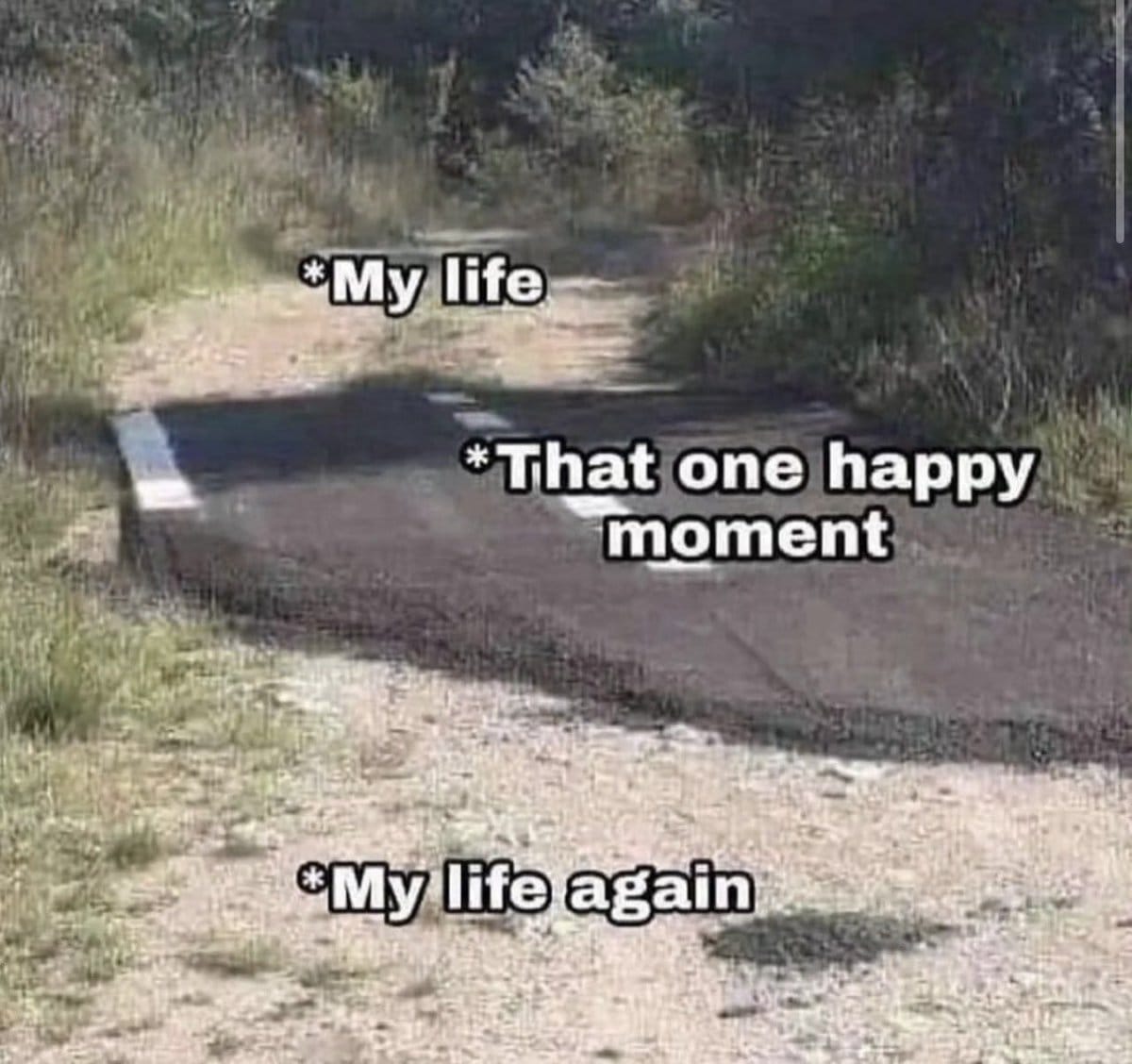 happy moments memes - My life That one happy moment My life again
