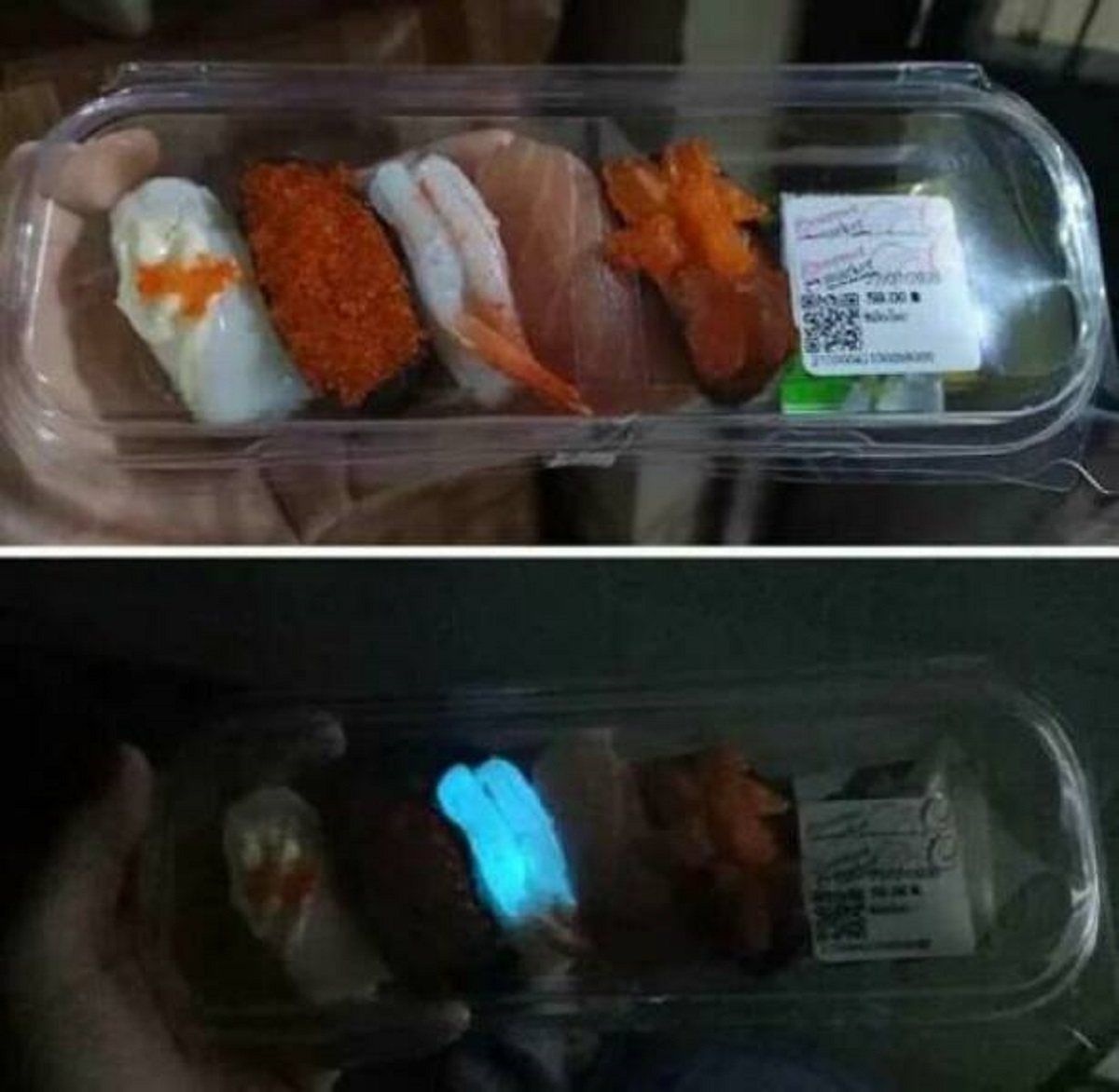 "Glow In The Dark Sushi"