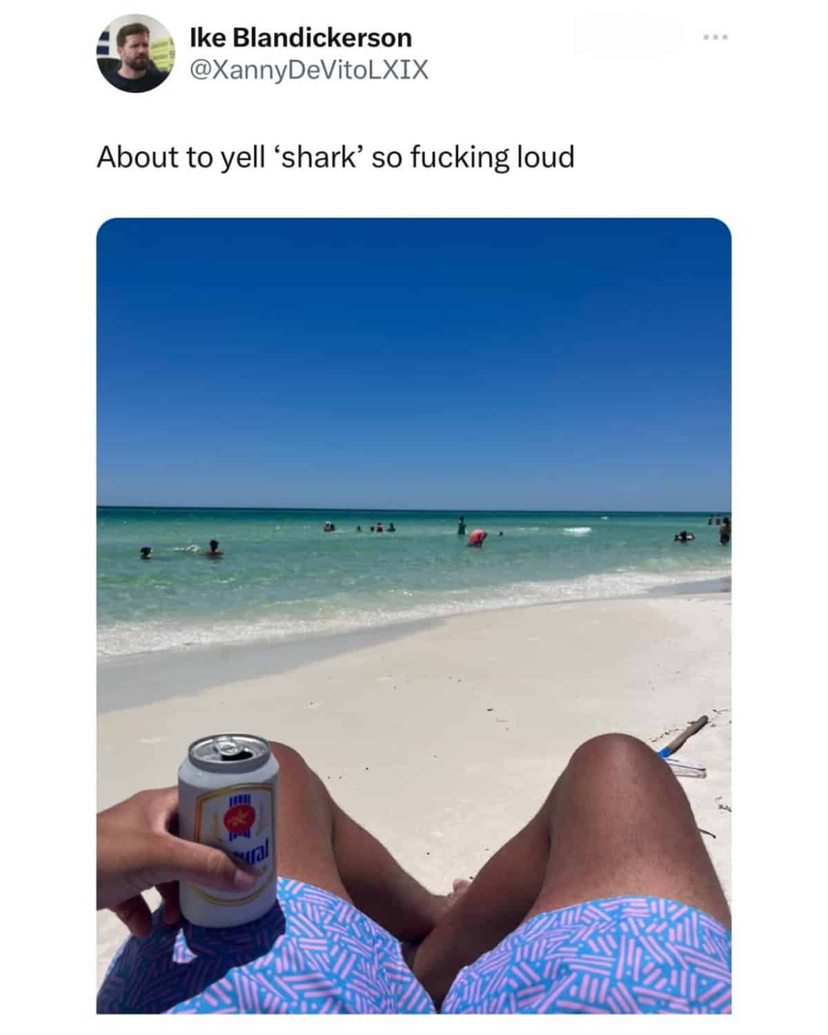 beach - Ike Blandickerson DeVitoLXIX About to yell 'shark' so fucking loud ral