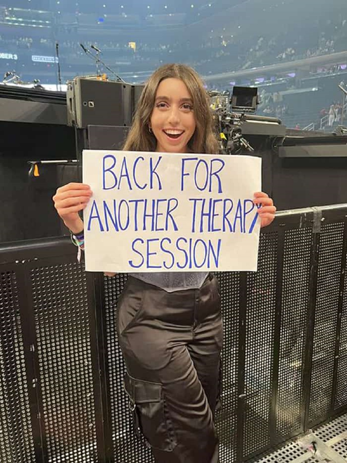 39 Funny and Clever Concert Signs