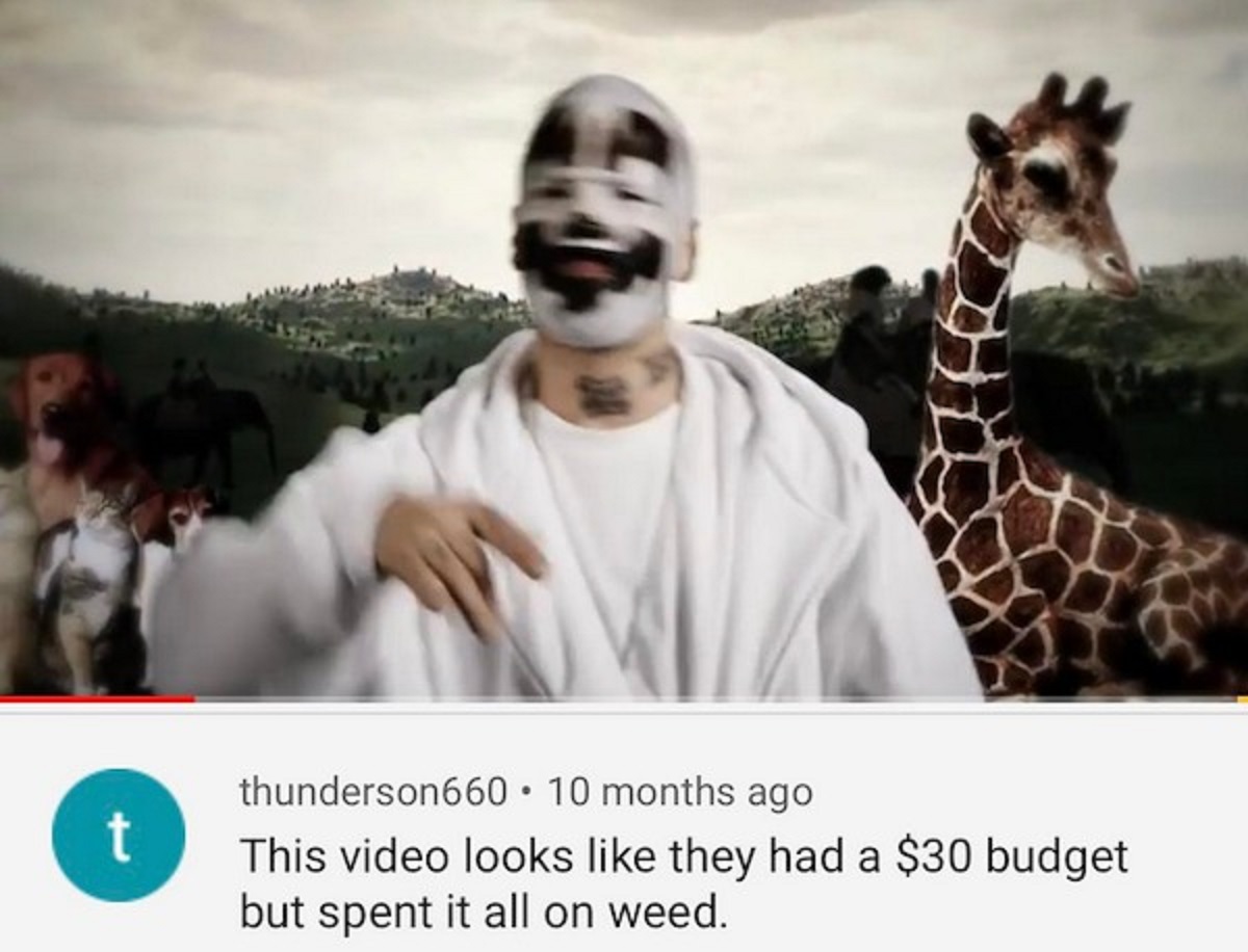 giraffe - thunderson660 10 months ago t This video looks they had a $30 budget but spent it all on weed.