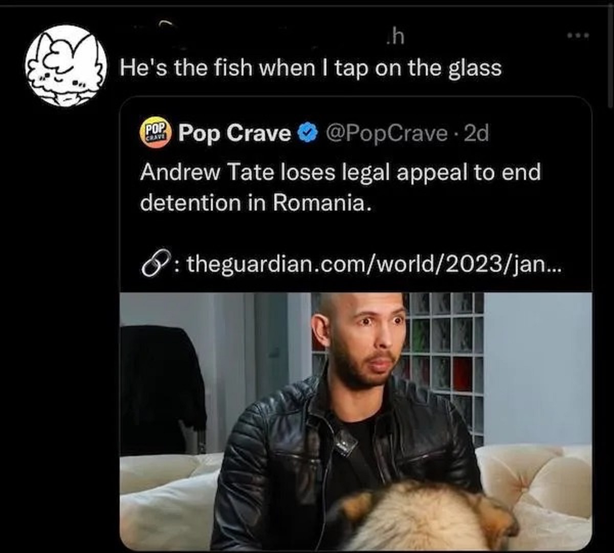 shocked andrew tate - .h He's the fish when I tap on the glass Pop Crave Pop Crave 2d Andrew Tate loses legal appeal to end detention in Romania. theguardian.comworld2023jan...