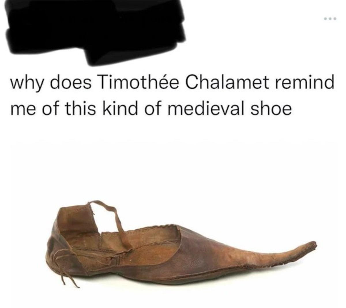 shoe reminds me of timothee chalamet - why does Timothe Chalamet remind me of this kind of medieval shoe