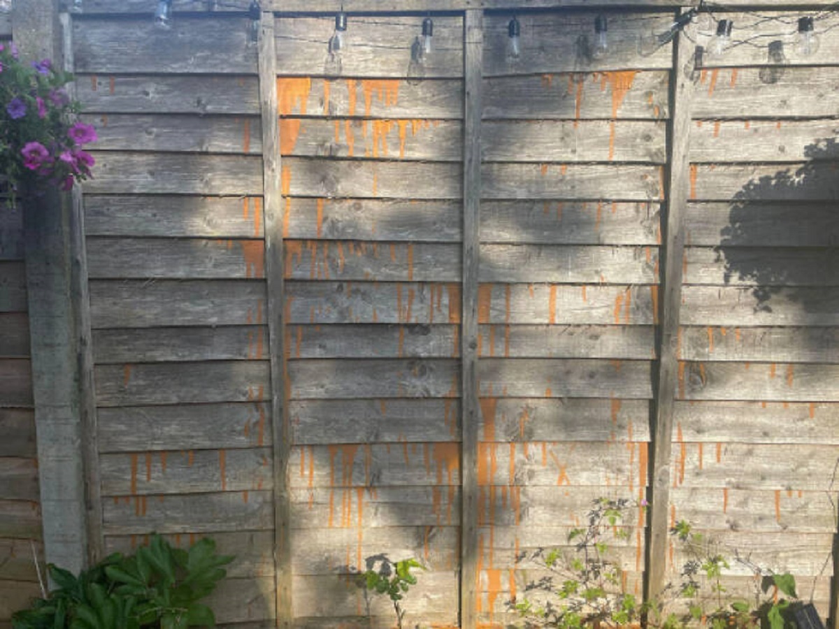 “Bought and installed some lovely new fence panels… not ???????????????????? to the taste of the next-door neighbour though…”