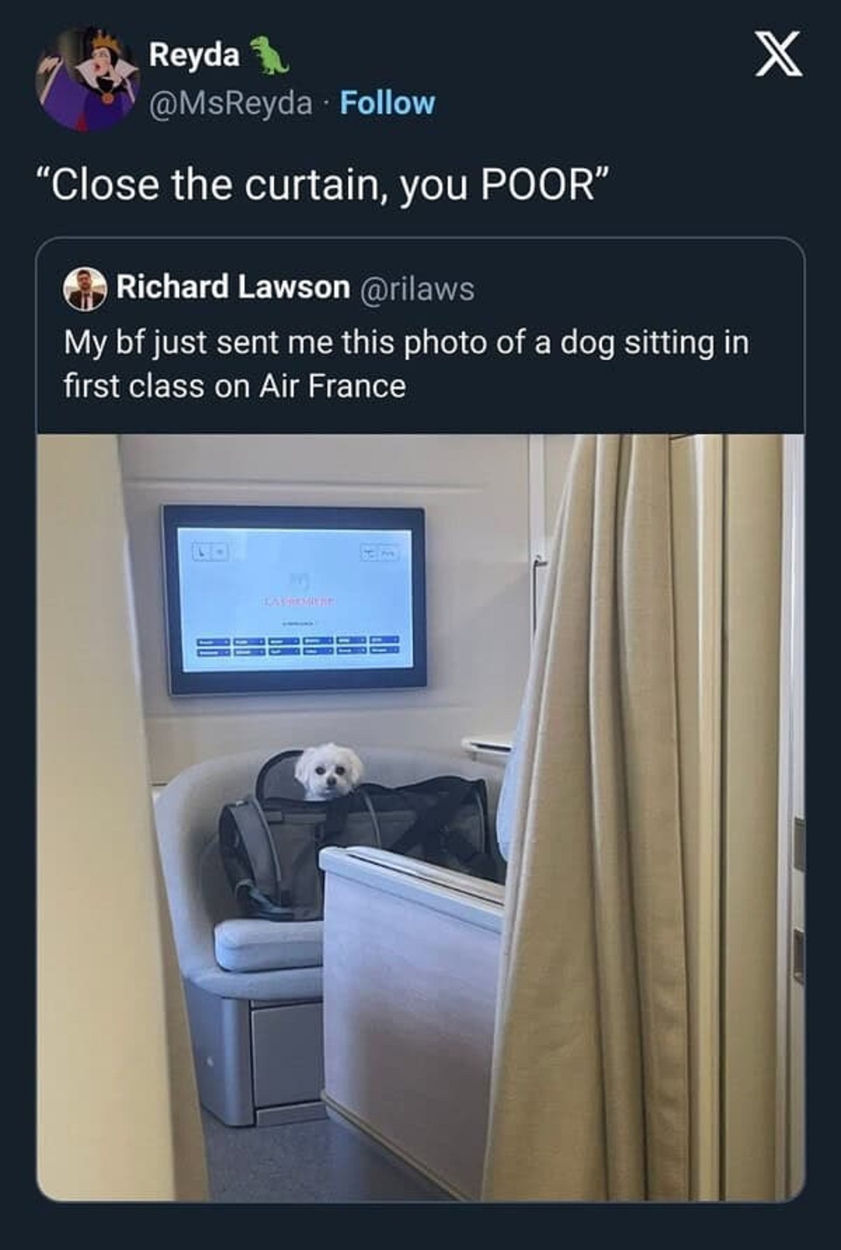 flat panel display - Reyda "Close the curtain, you Poor" Richard Lawson My bf just sent me this photo of a dog sitting in first class on Air France 222222 X