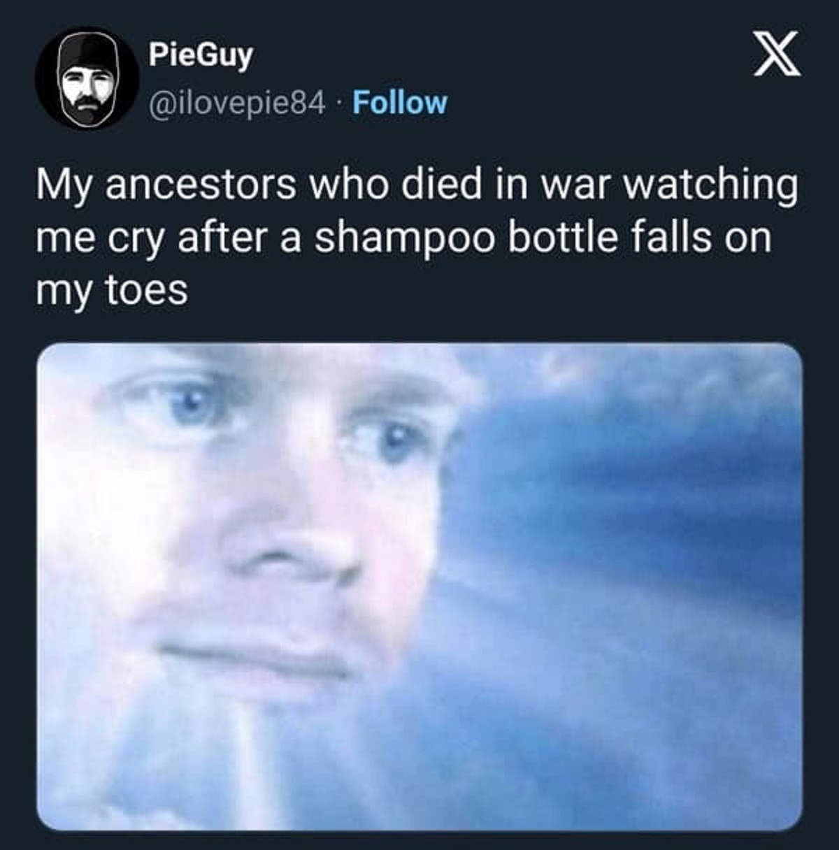disappointed ancestors meme - PieGuy X My ancestors who died in war watching me cry after a shampoo bottle falls on my toes