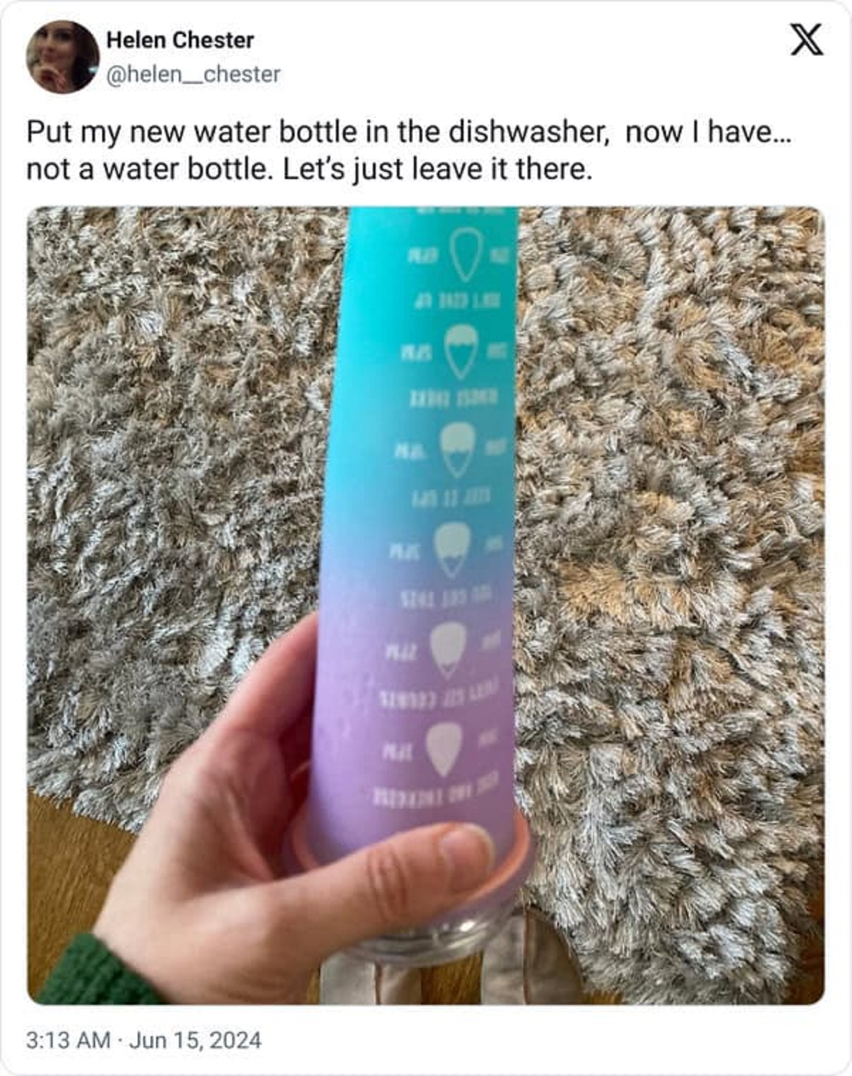 screenshot - Helen Chester Put my new water bottle in the dishwasher, now I have... not a water bottle. Let's just leave it there. Pil X
