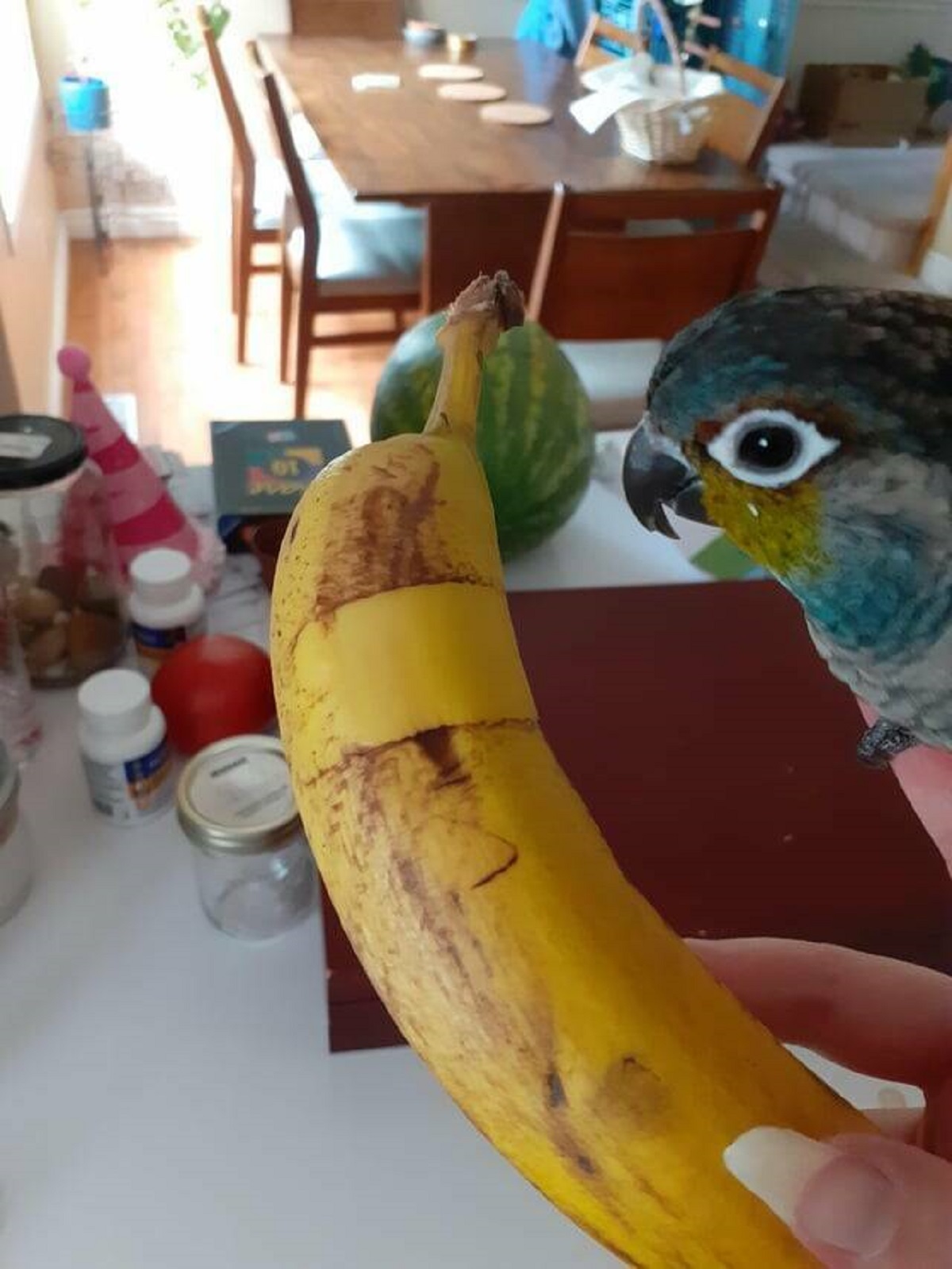 "The plastic holding my bananas stoped a patch from going brown"