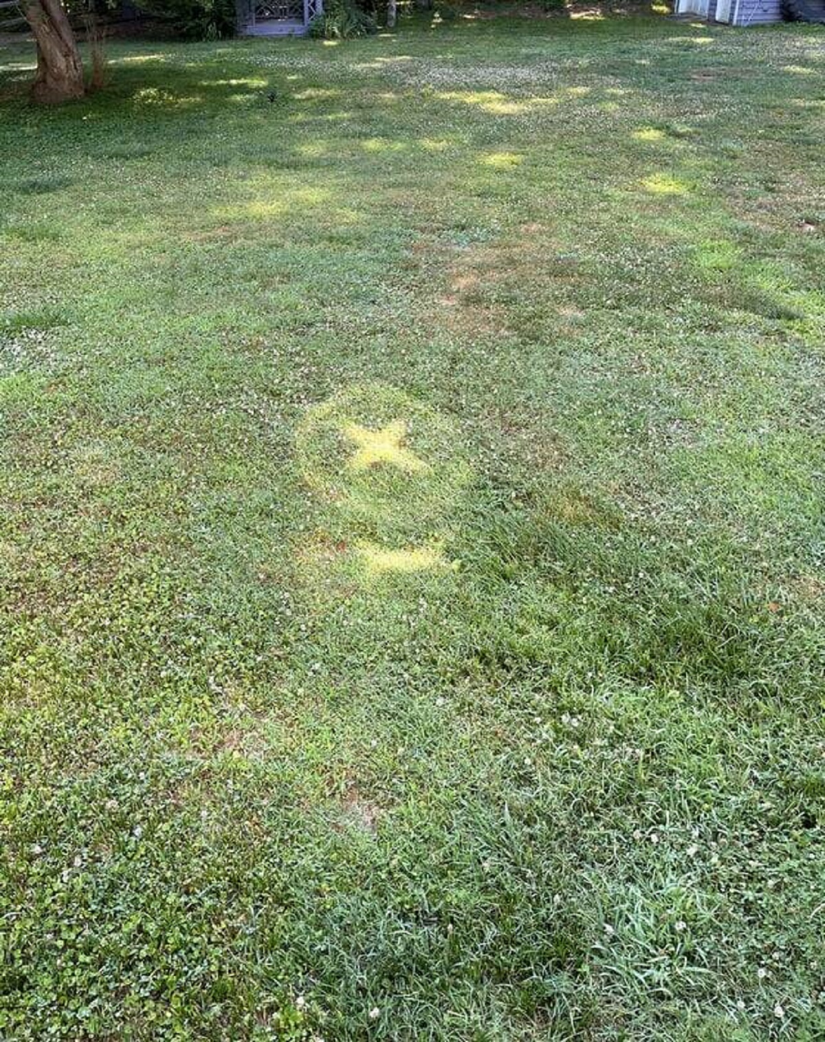 "This light spot reflecting an X with a circle around it that we've never seen before in our yard."