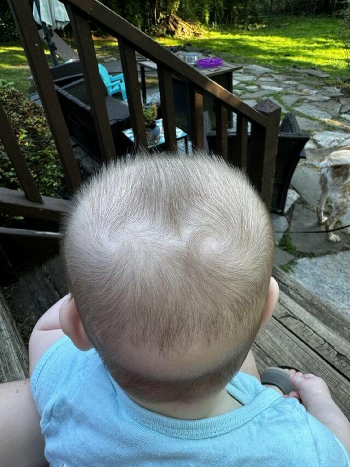 "My 6 month old has double cowlicks"