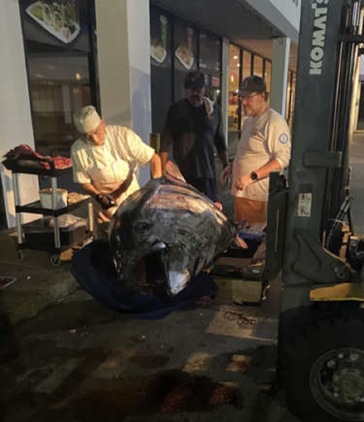 You wanted some fresh sushi? Sushi restaurant staff carving up giant 700 pound bluefin tuna.