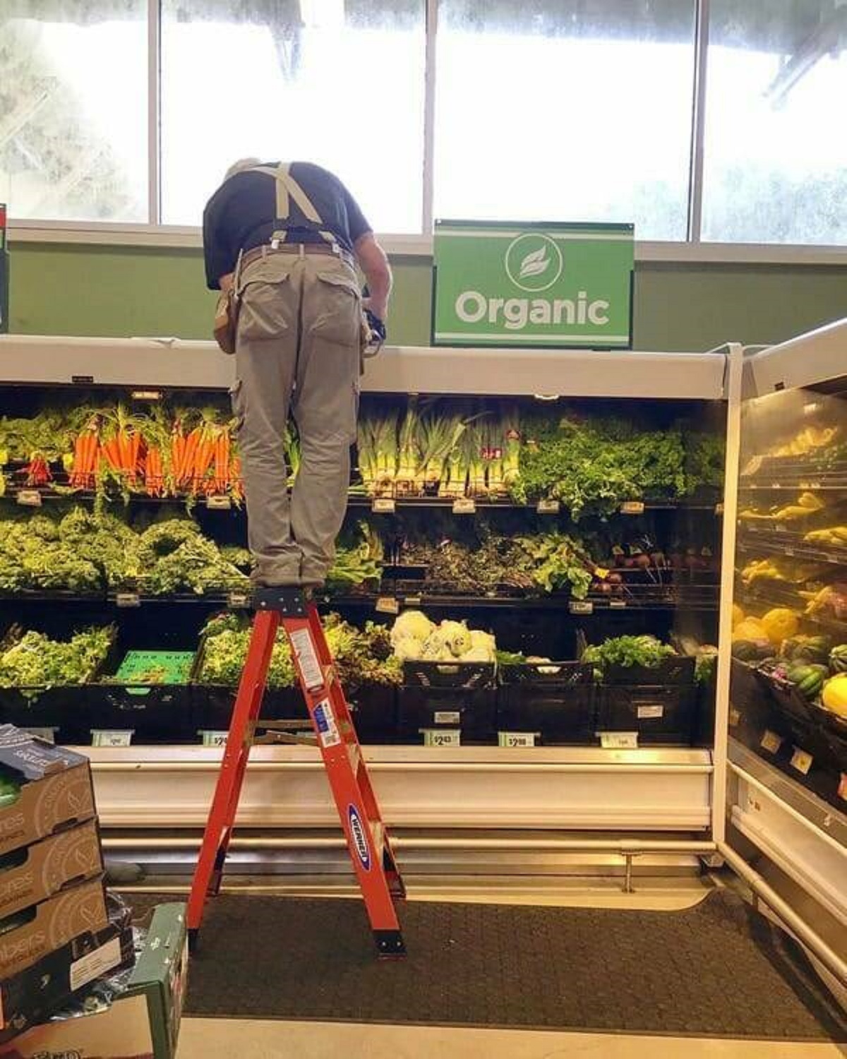 “Where vegetables comes from.”