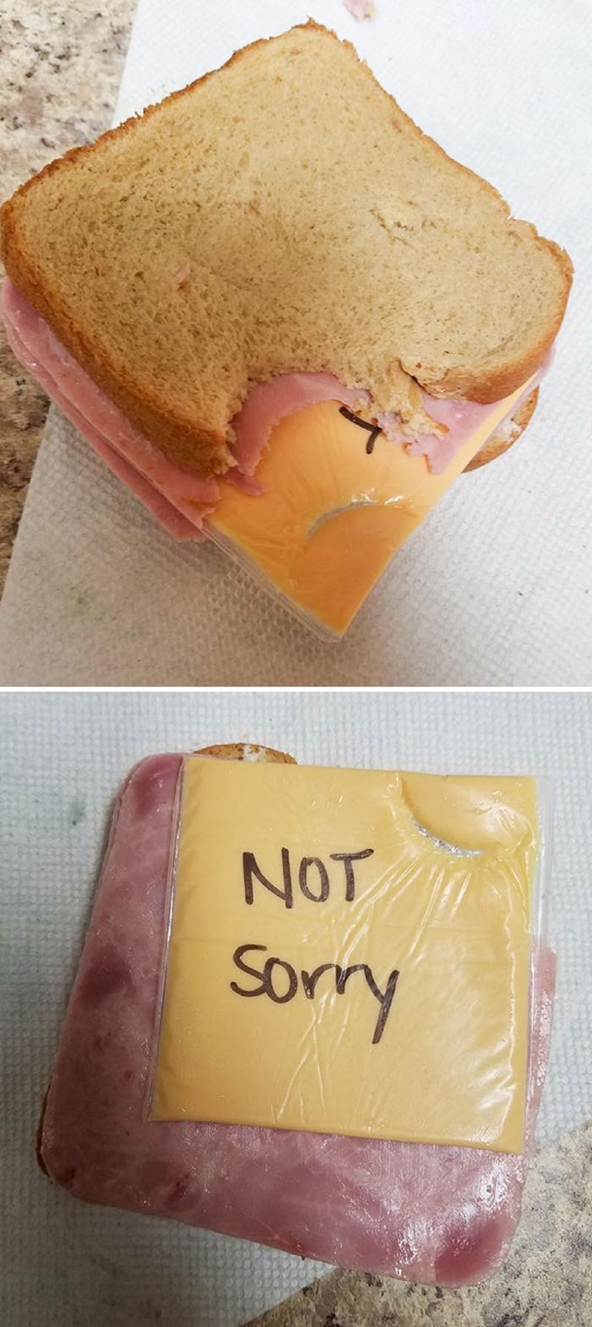 not sorry sandwich - Not Sorry