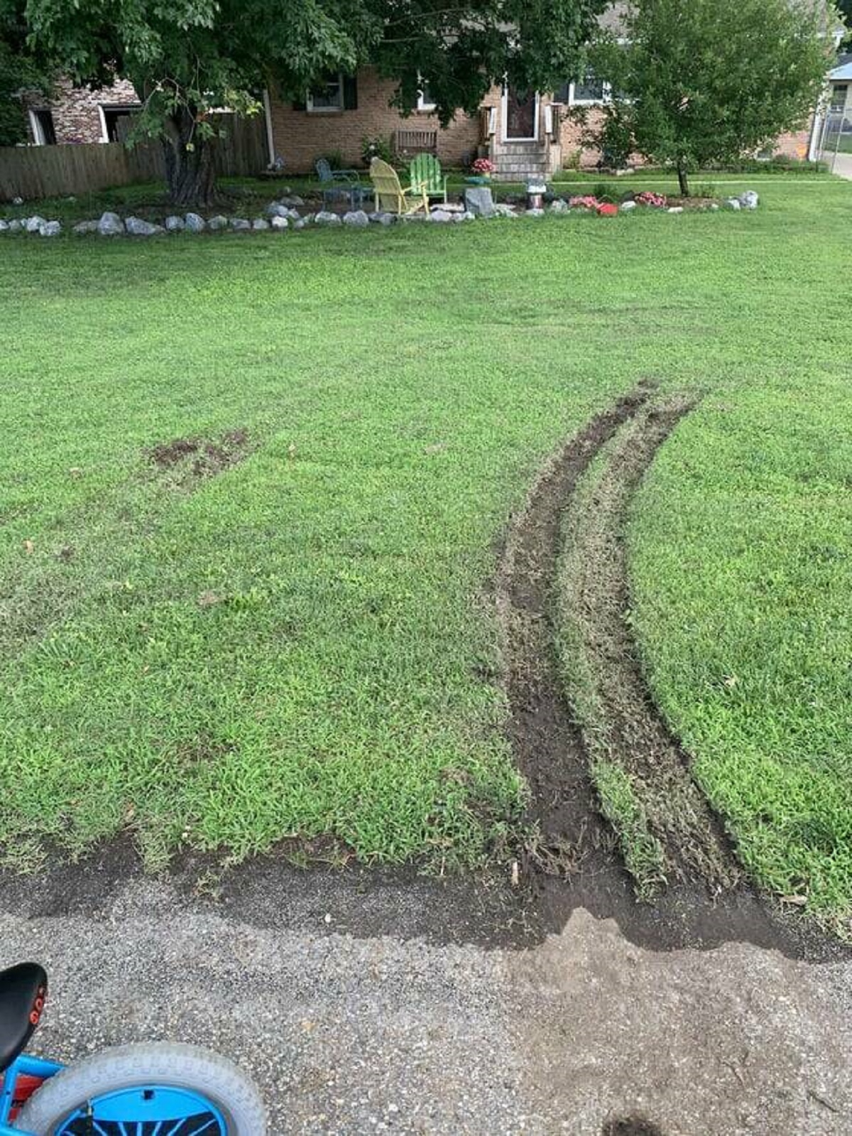 "FedEx destroyed my yard and I didn’t even order anything."
