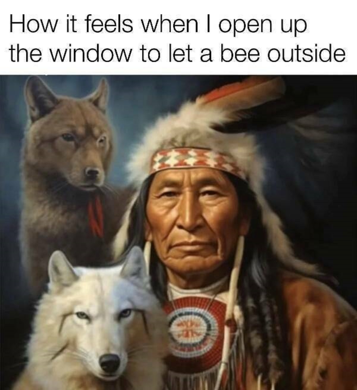 native american animal meme - How it feels when I open up the window to let a bee outside