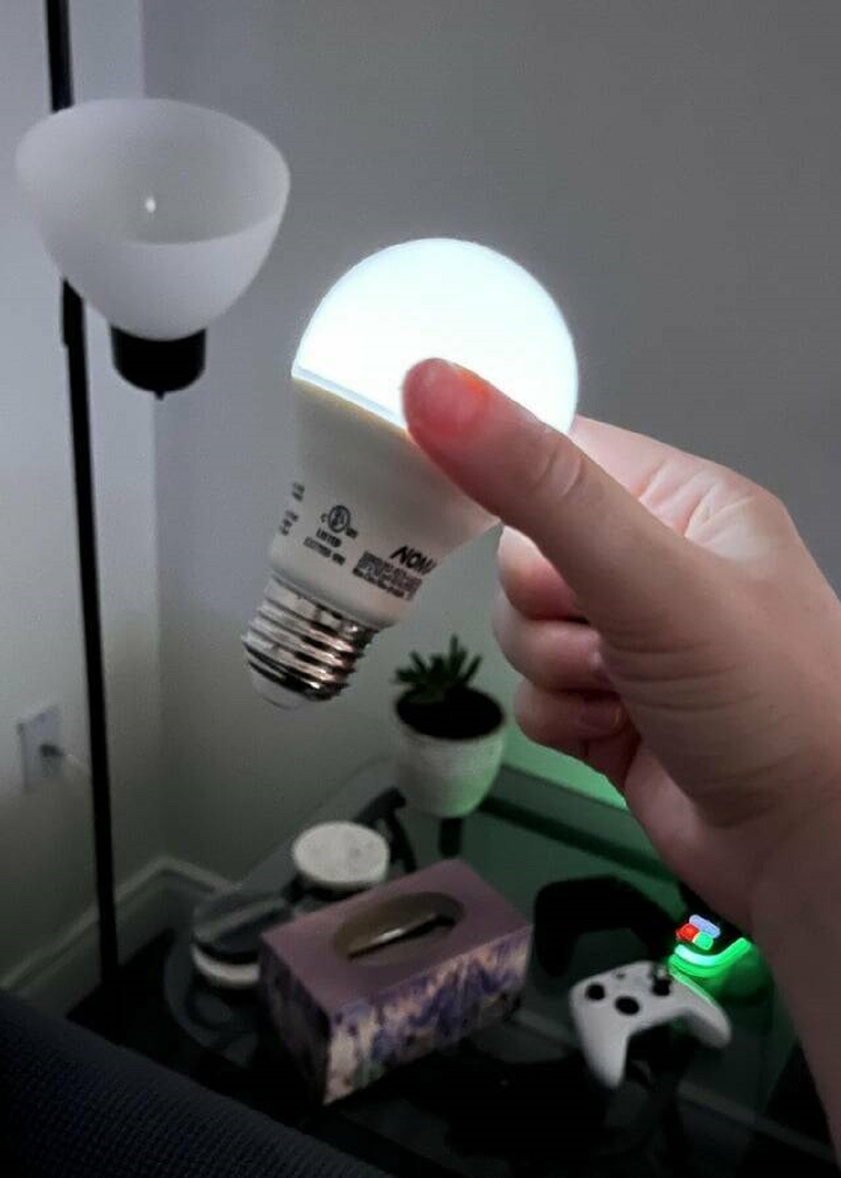 "Light bulb stayed on after taking it out"
