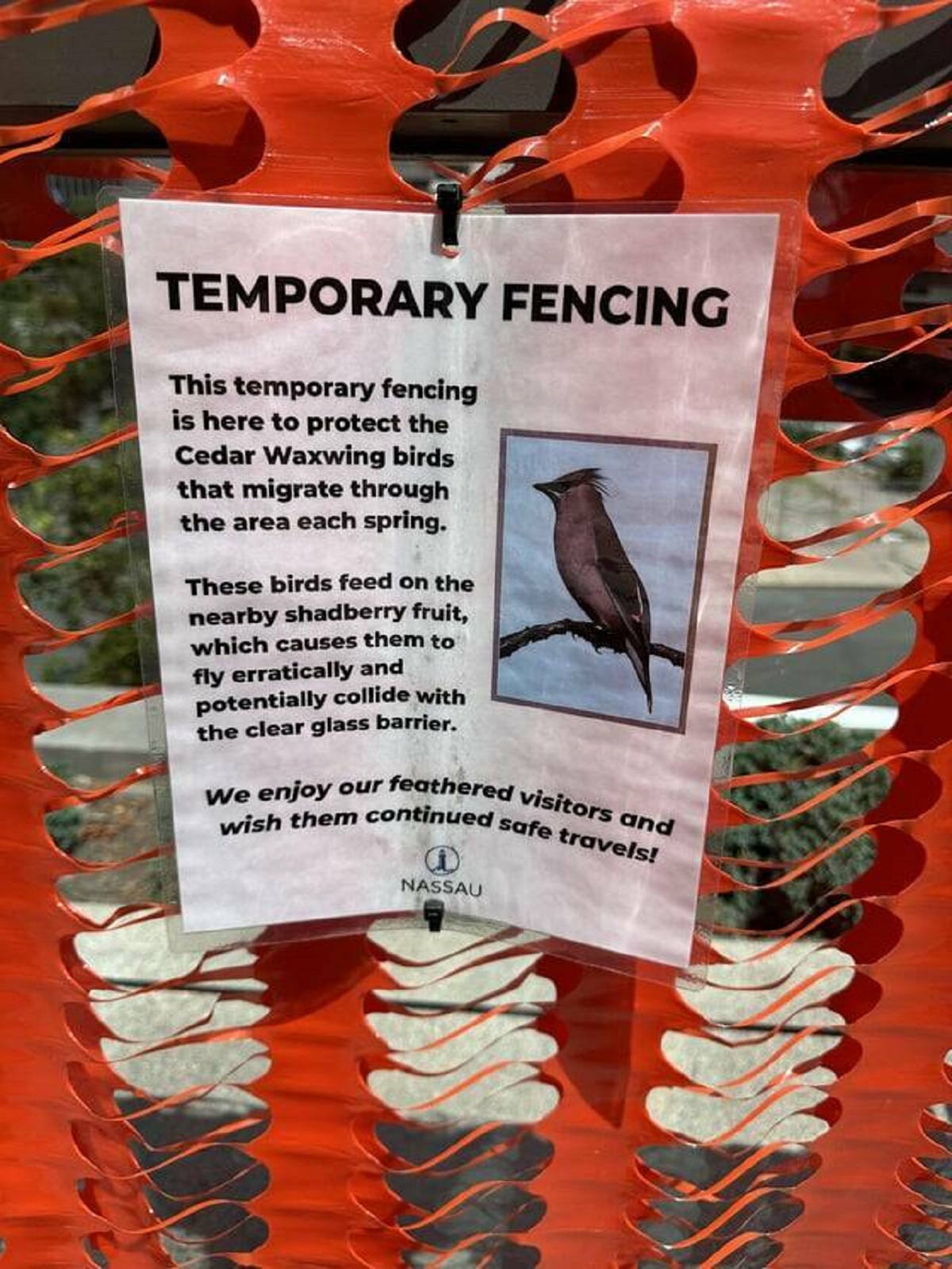"This sign for temporary fencing to protect birds"