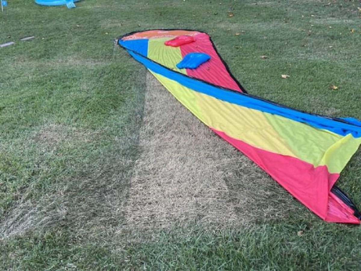 "How the yellow section of the slip and slide affected the grass vs the blue"