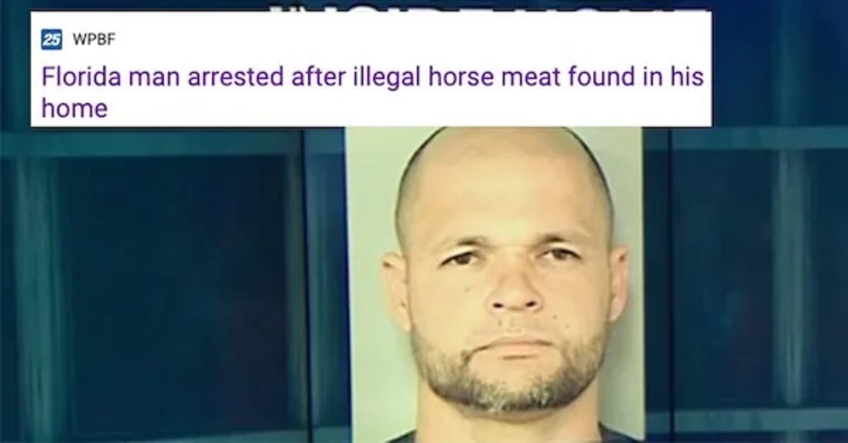 30 Florida Man Headlines Full of WTF