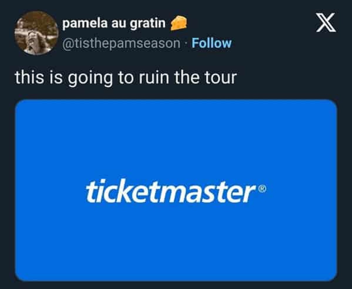 screenshot - pamela au gratin this is going to ruin the tour X ticketmaster