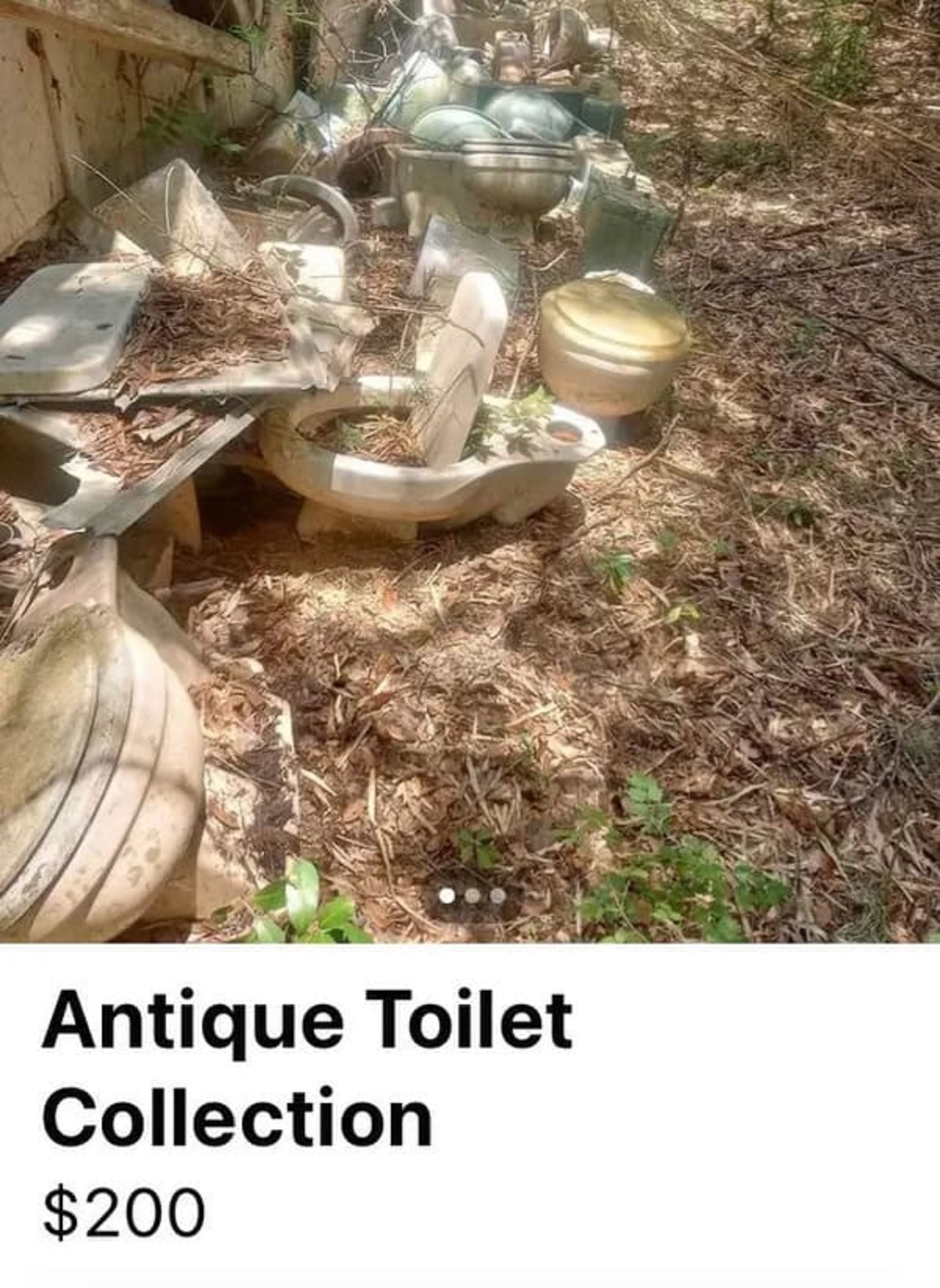 grass - Antique Toilet Collection $200