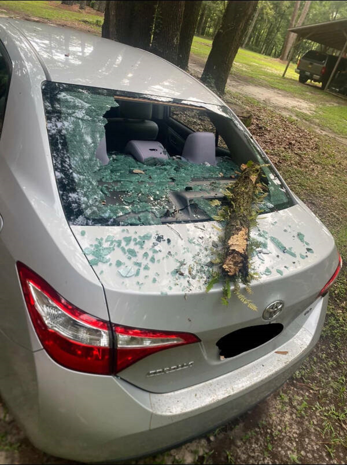 “Left my car at a friends house while we went to the beach. Came back to find my car like this.”