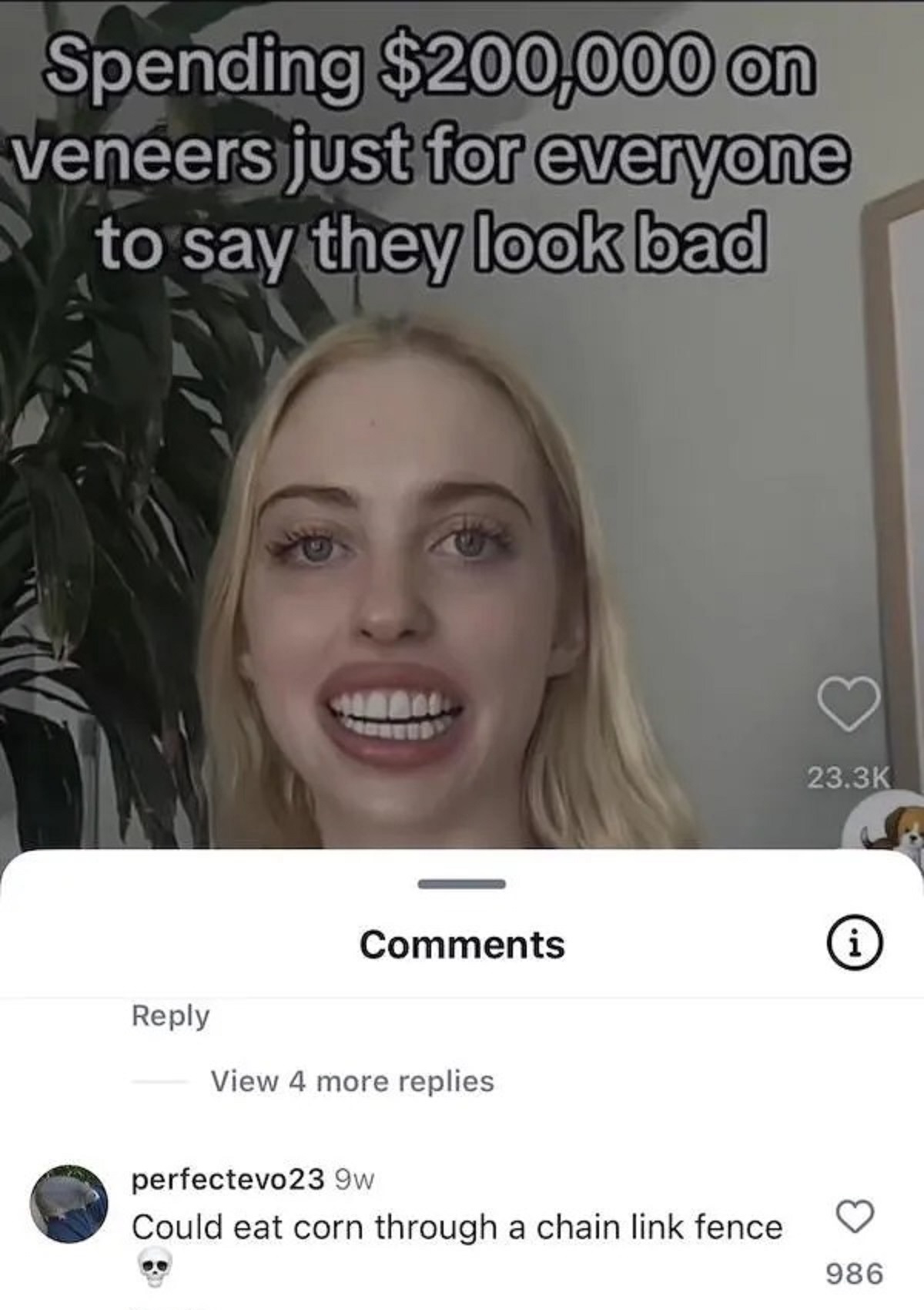 Meme - Spending $200,000 on veneers just for everyone to say they look bad i View 4 more replies perfectevo23 9w Could eat corn through a chain link fence 986