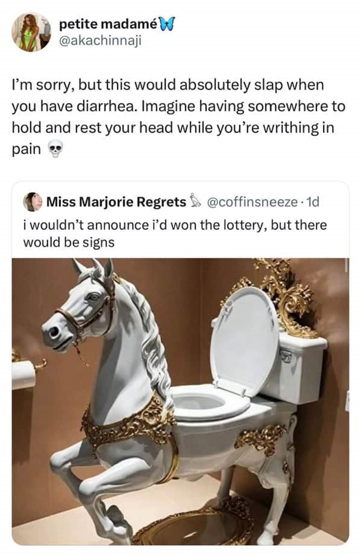 Meme - petite madam W I'm sorry, but this would absolutely slap when you have diarrhea. Imagine having somewhere to hold and rest your head while you're writhing in pain Miss Marjorie Regrets . 1d i wouldn't announce i'd won the lottery, but there would b