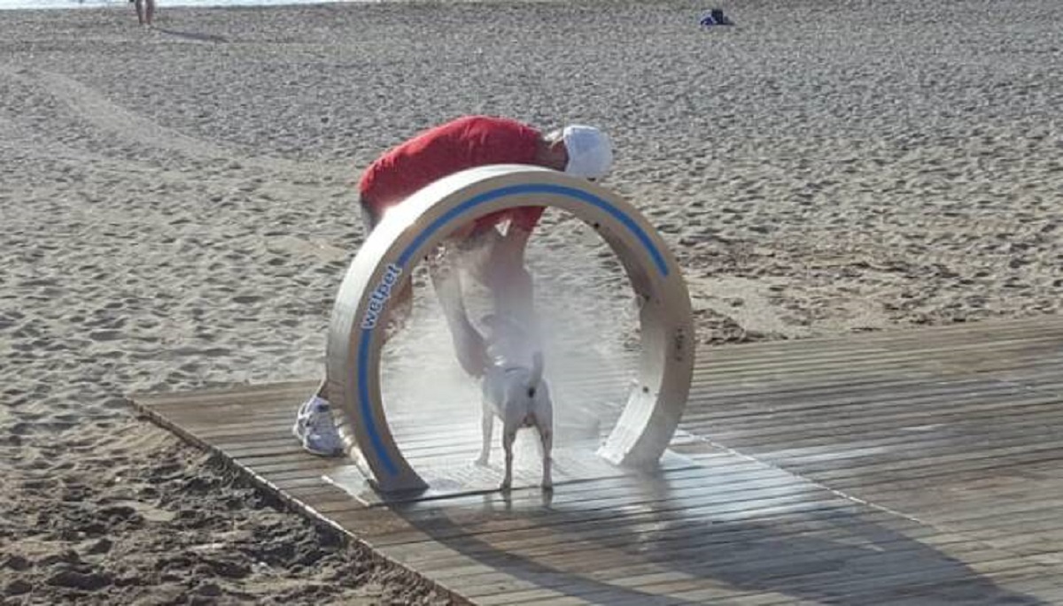 "This Spanish beach has showers for dogs"