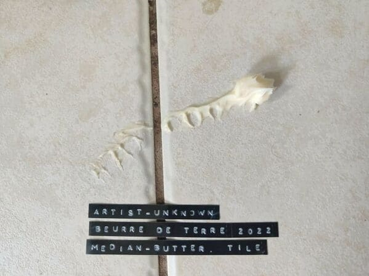 “My Roommate Occasionally Leaves Careless Messes In The Kitchen. I Started Labeling Them As His Art Projects”