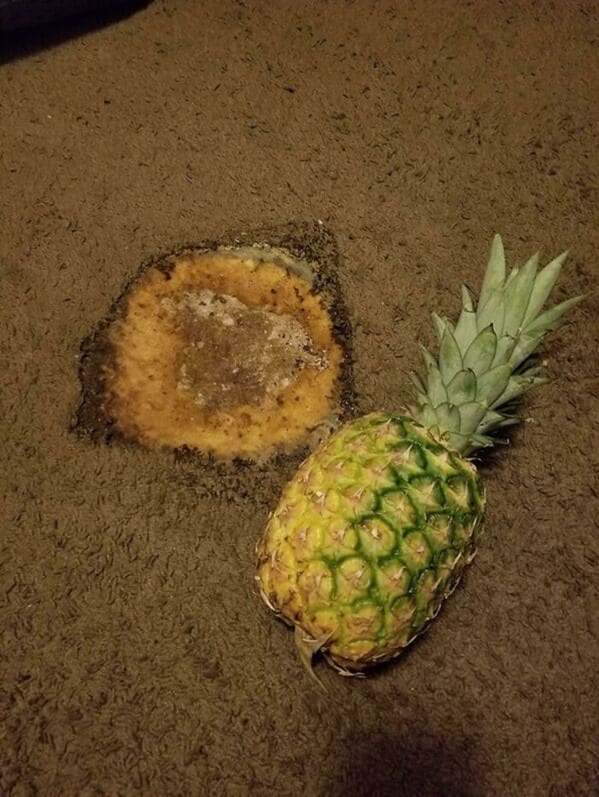 “Burn Hole I Discovered Hidden Underneath My Roommates Bed After I Kicked Her Out. Pineapple For Scale”