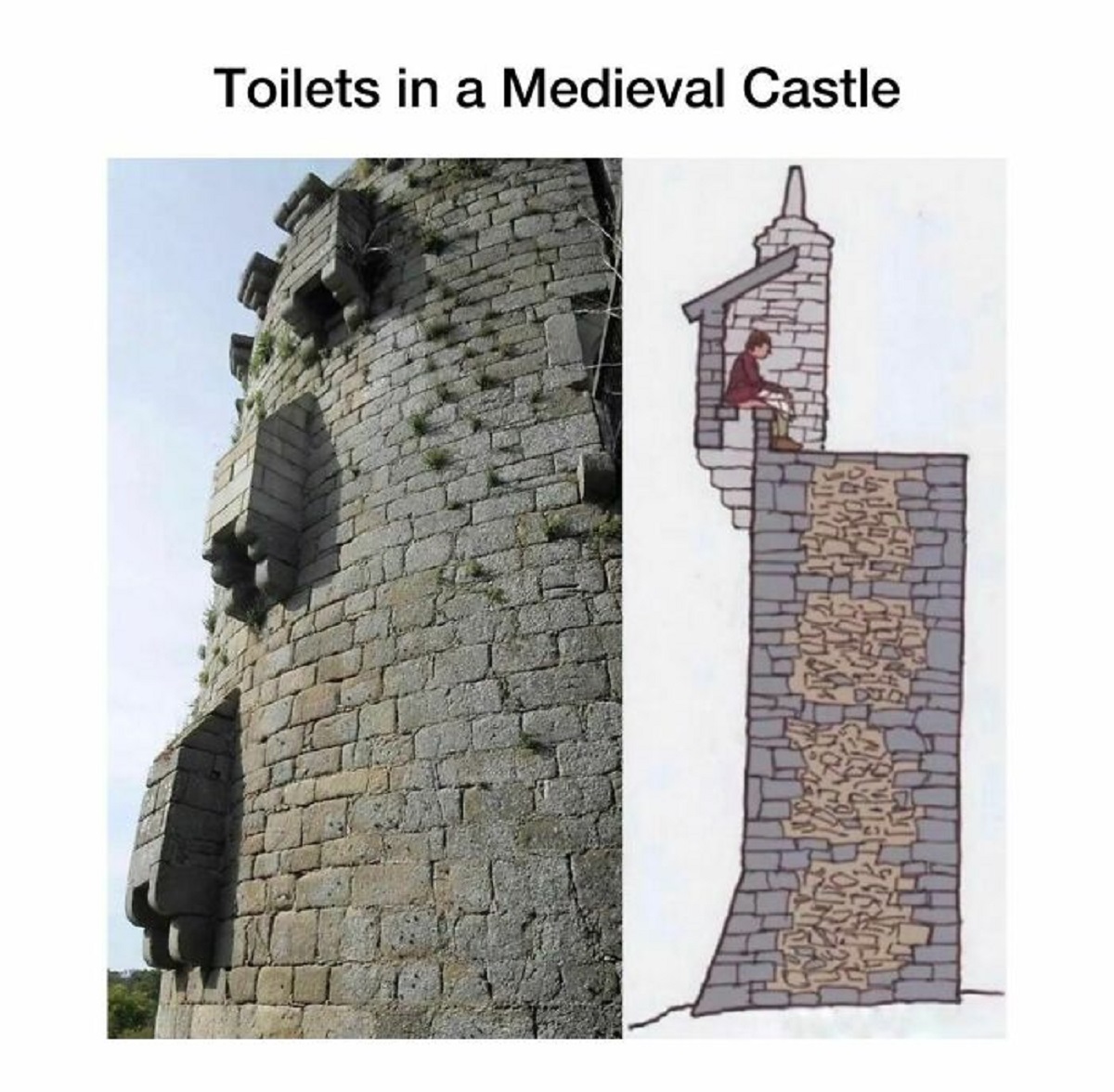 queen elizabeth 1 toilet - Toilets in a Medieval Castle