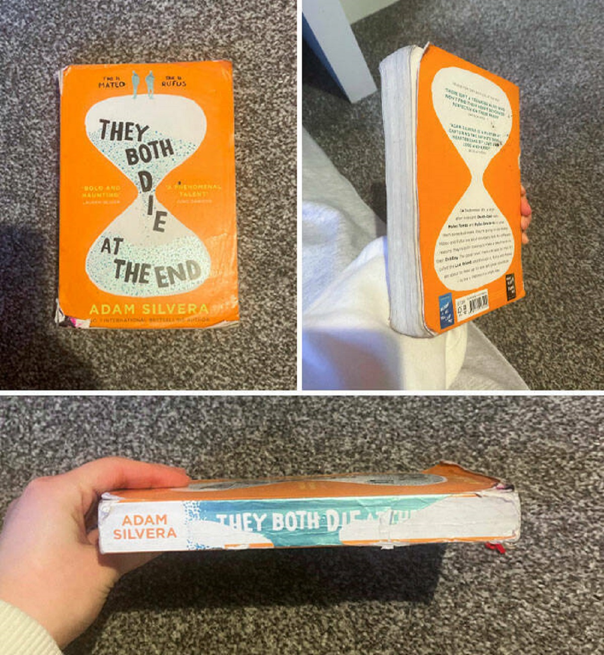 "Let My Sister Borrow One Of My Favorite Books In Near-Perfect Condition. This Is How I Got It Back"