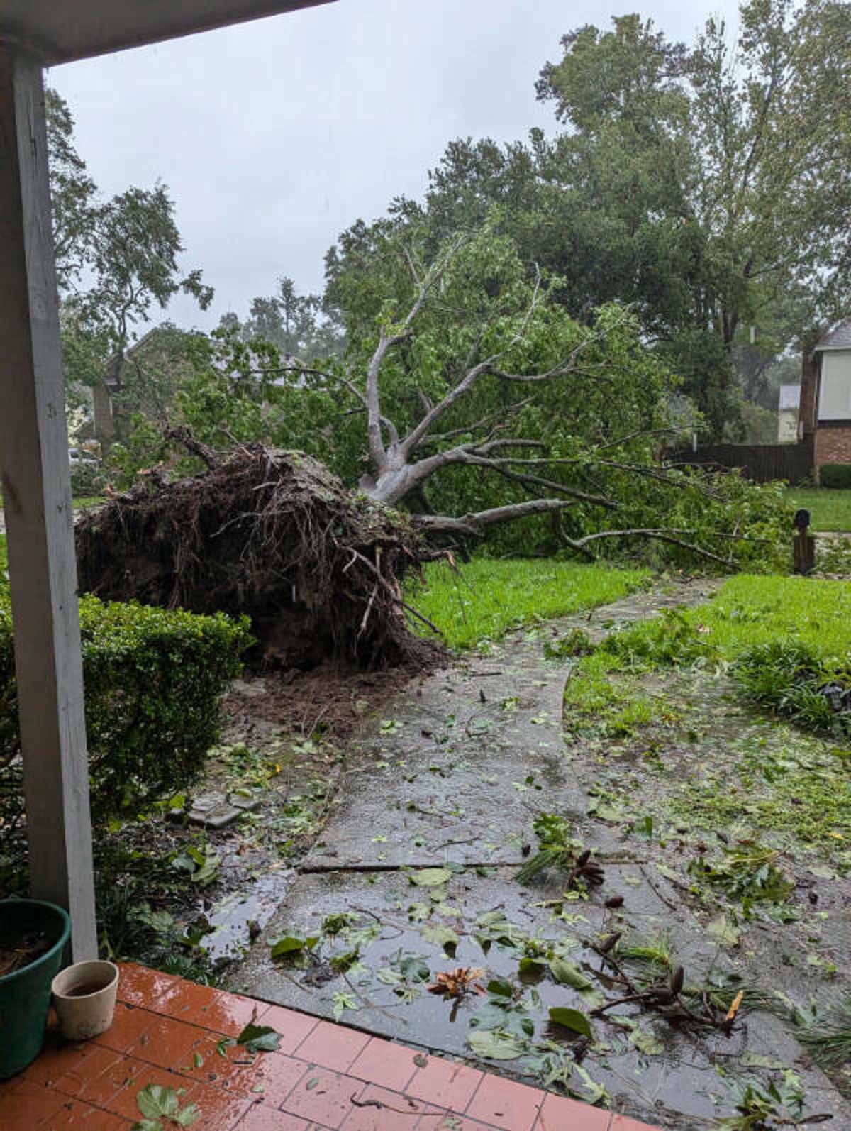 “Beryl just knocked over the 21 year old tree that was planted by my dad when I was born.”