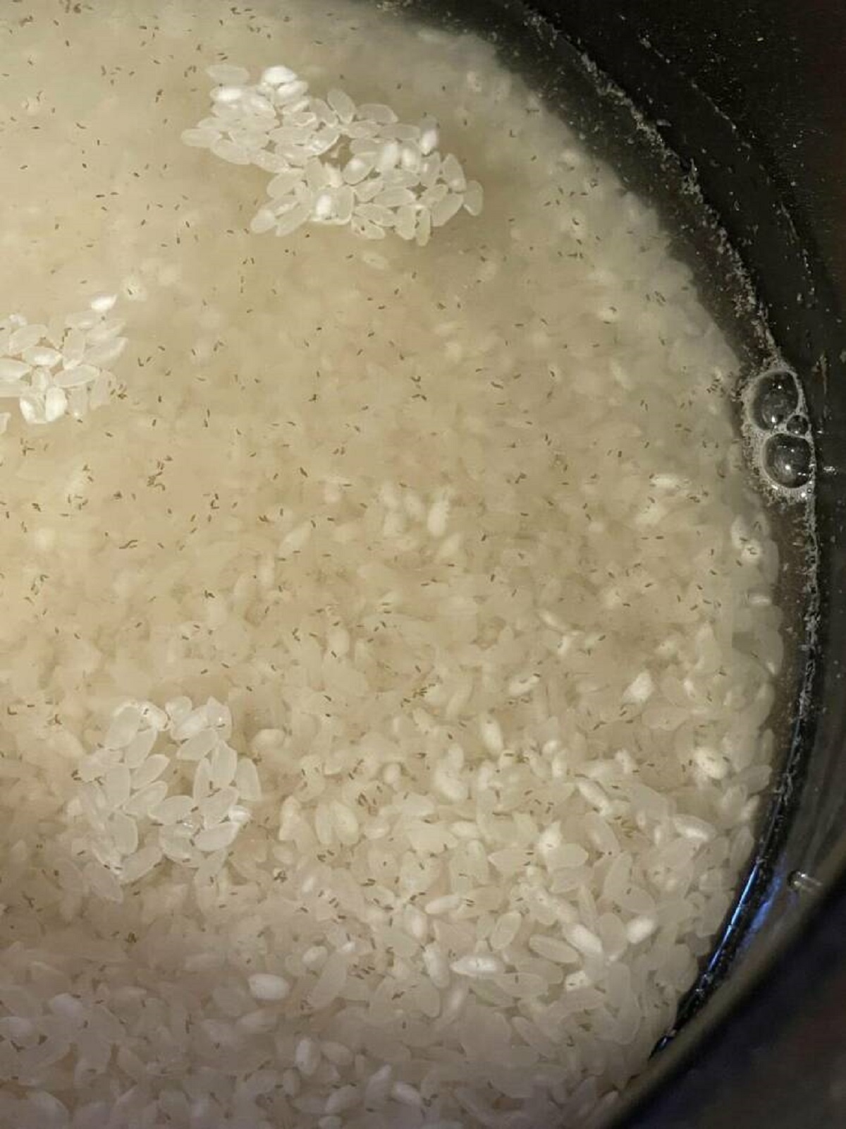 "This is why we wash our rice"