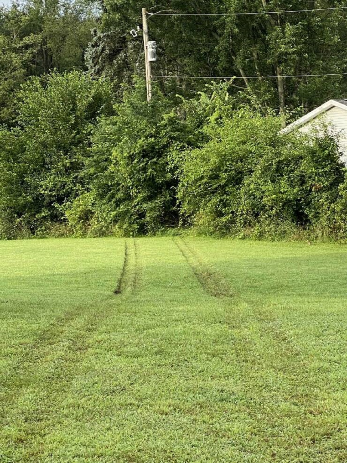 "Neighbor lost power, too much junk in their driveway, line crew gave me a lawn job"