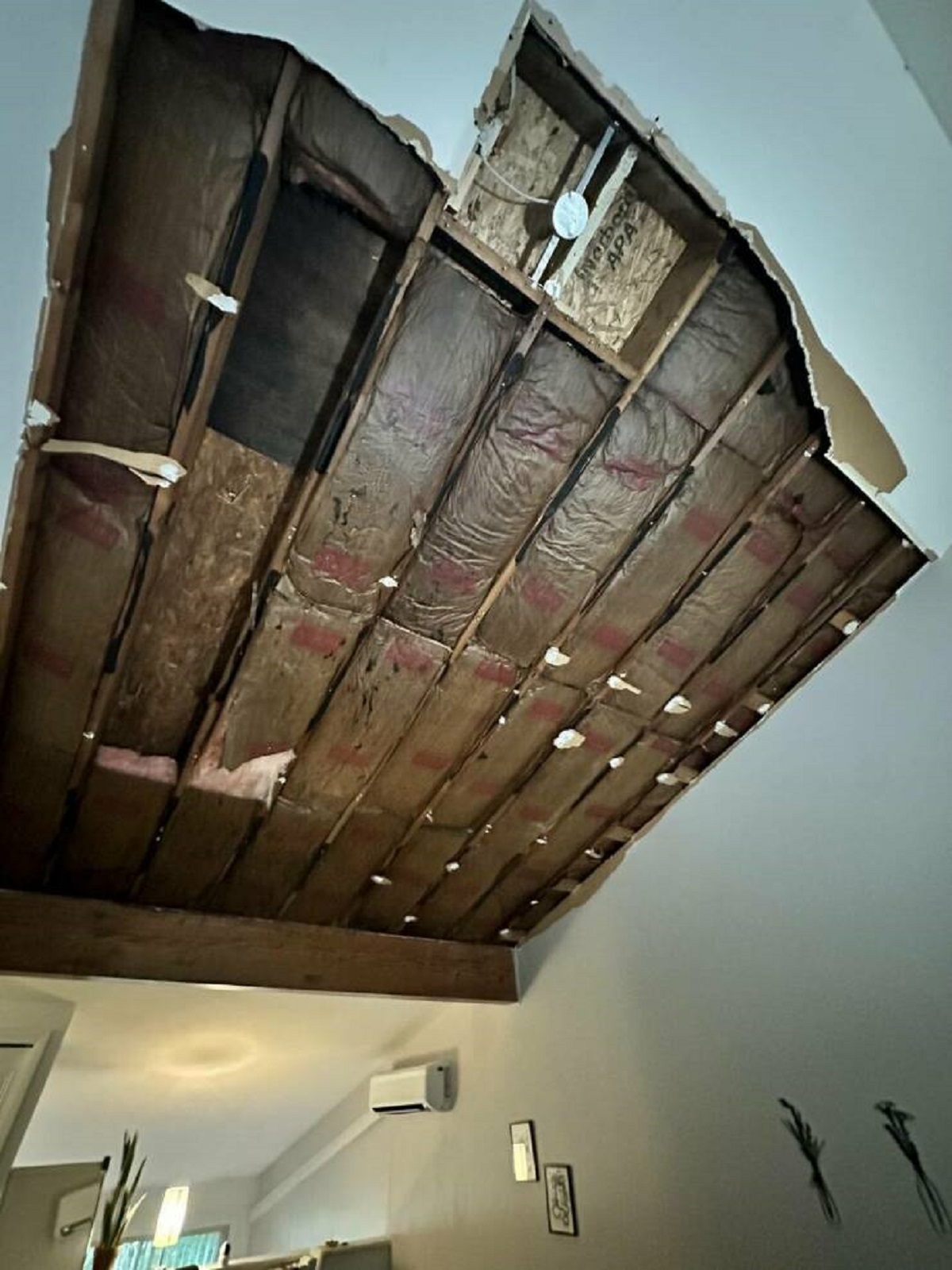 "My entire apartment ceiling collapsed last night"