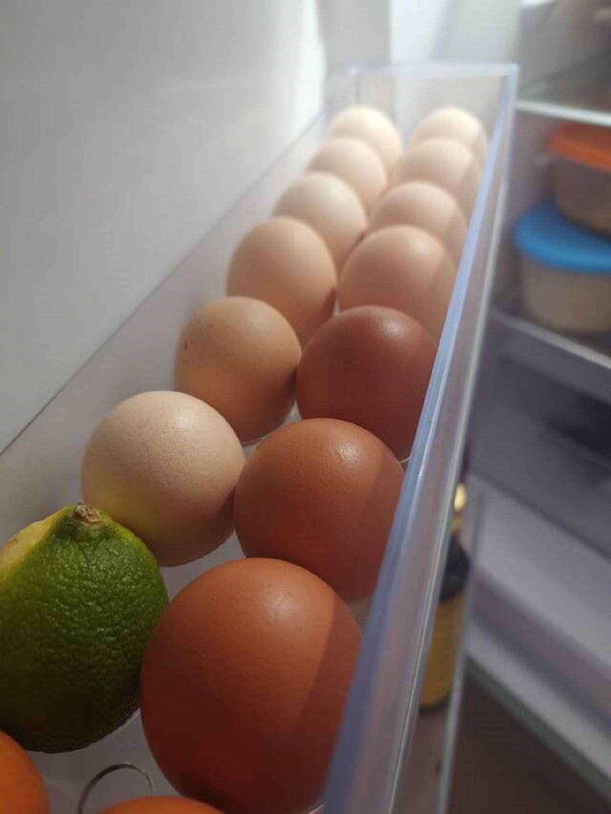 "The colour gradient of the eggs in my fridge"