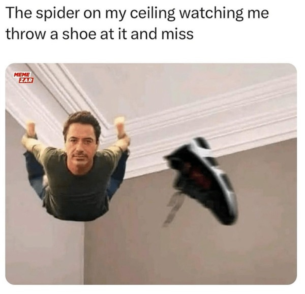 robert downey jr spider meme - The spider on my ceiling watching me throw a shoe at it and miss Meme Zar