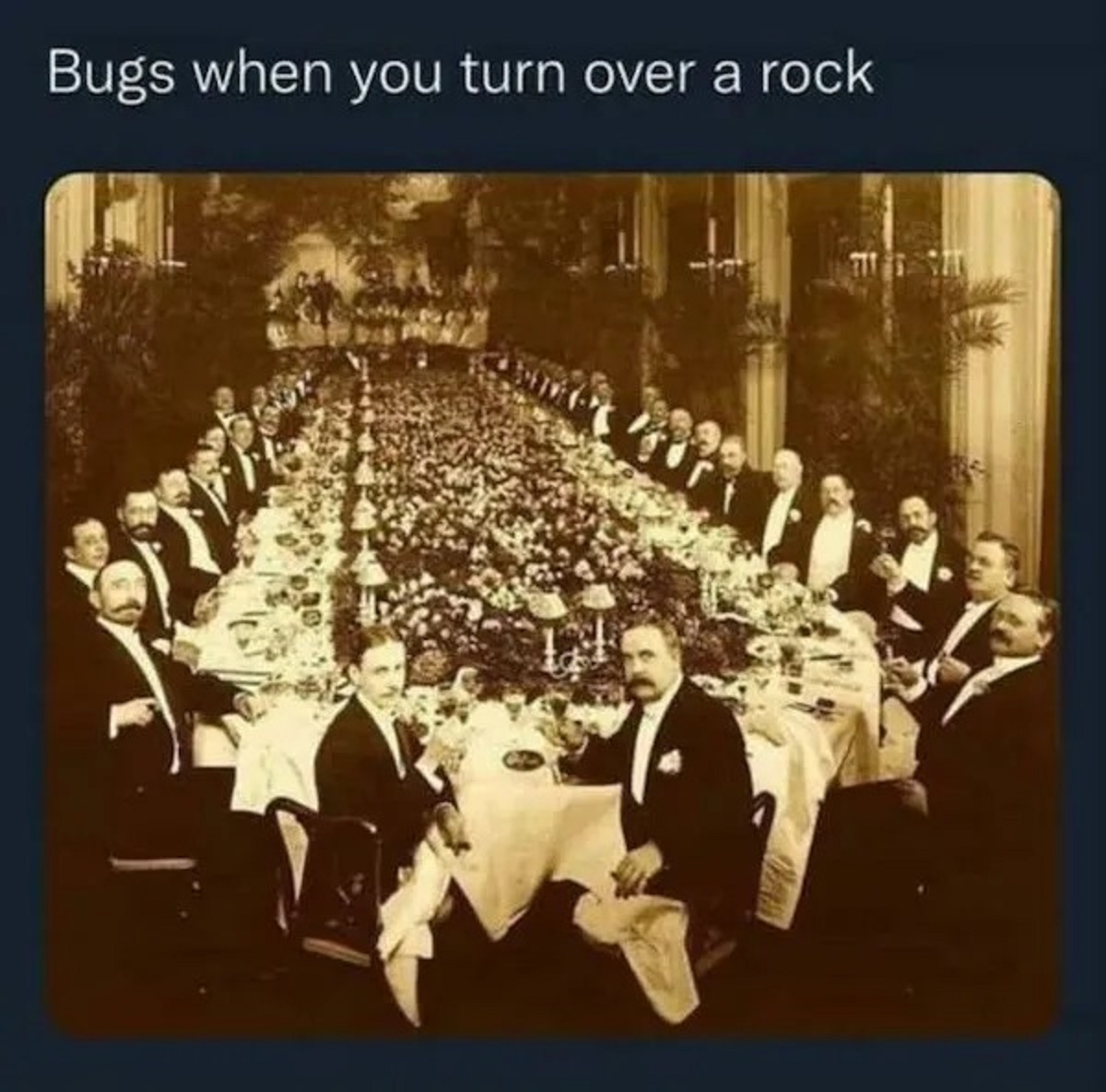 dinner party at the hotel astor new york city 1904 - Bugs when you turn over a rock