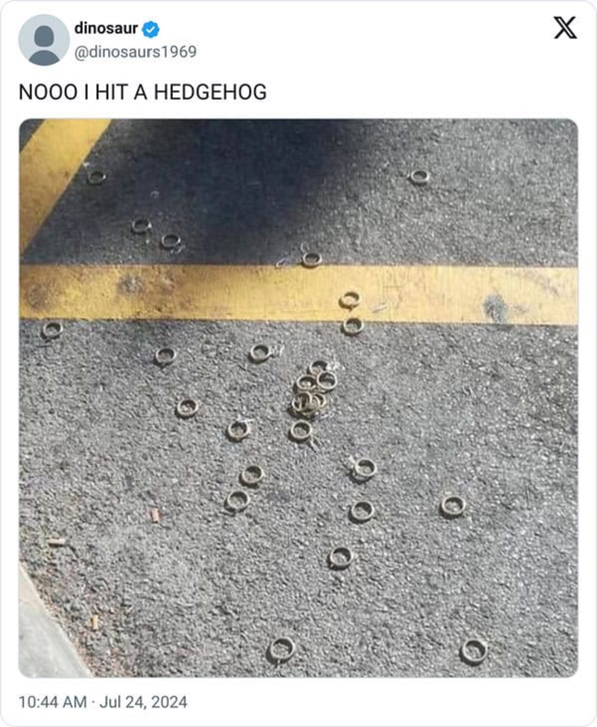 dead hedgehog meme - dinosaur 1969 Nooo I Hit A Hedgehog X 09 O