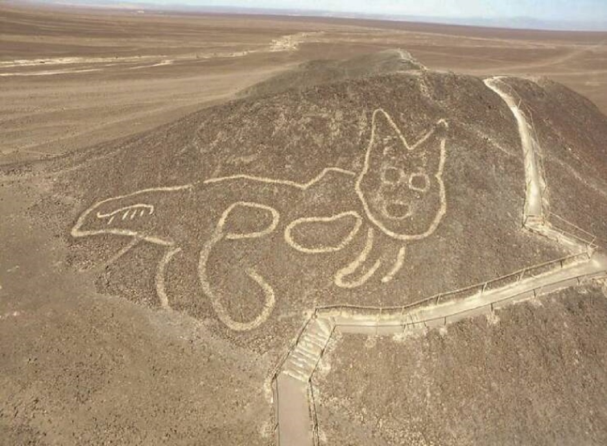 "A 2000-Year-Old Giant Cat Geoglyph Was Discovered 4 Months Ago Amid Peru's Famous Nazca Lines, A Unesco World Heritage Site"